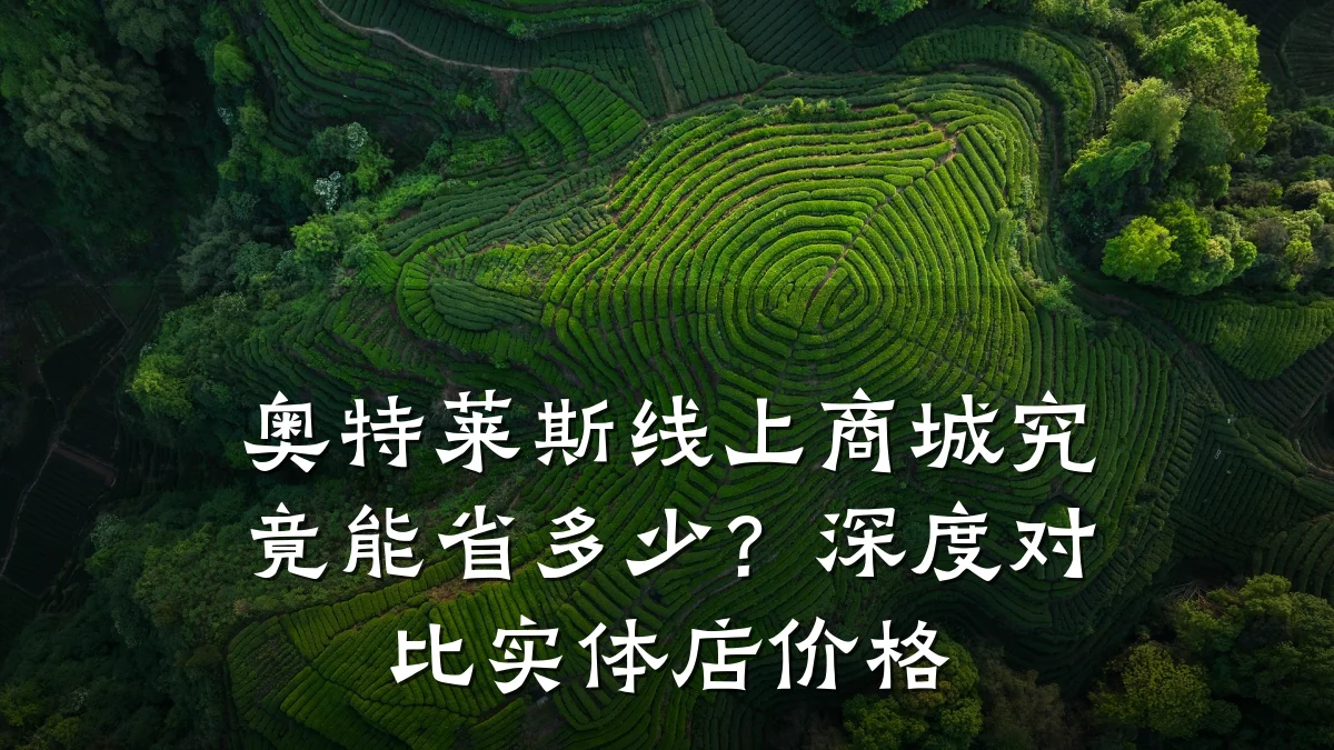 奥特莱斯线上商城究竟能省多少?深度对比实体店价格