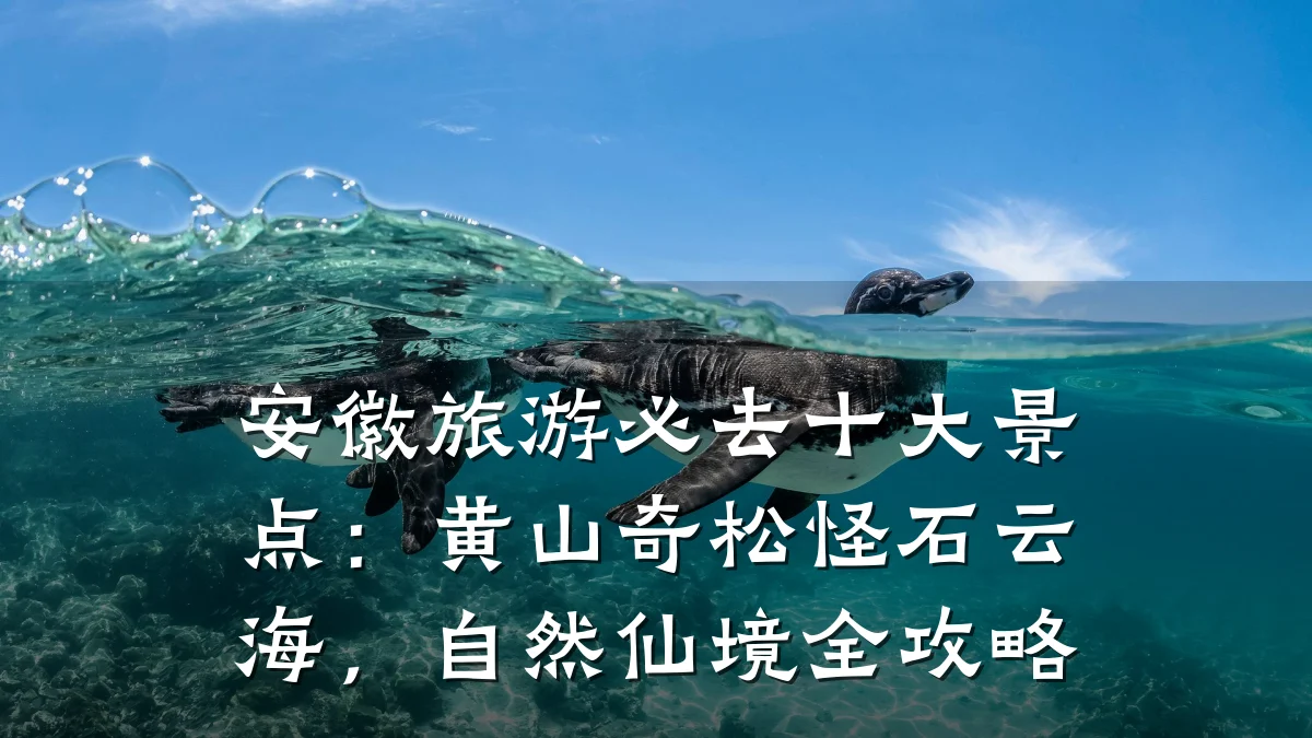 安徽旅游必去十大景点:黄山奇松怪石云海,自然仙境全攻略