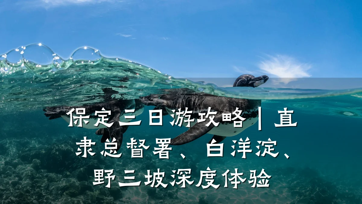 保定三日游攻略|直隶总督署、白洋淀、野三坡深度体验