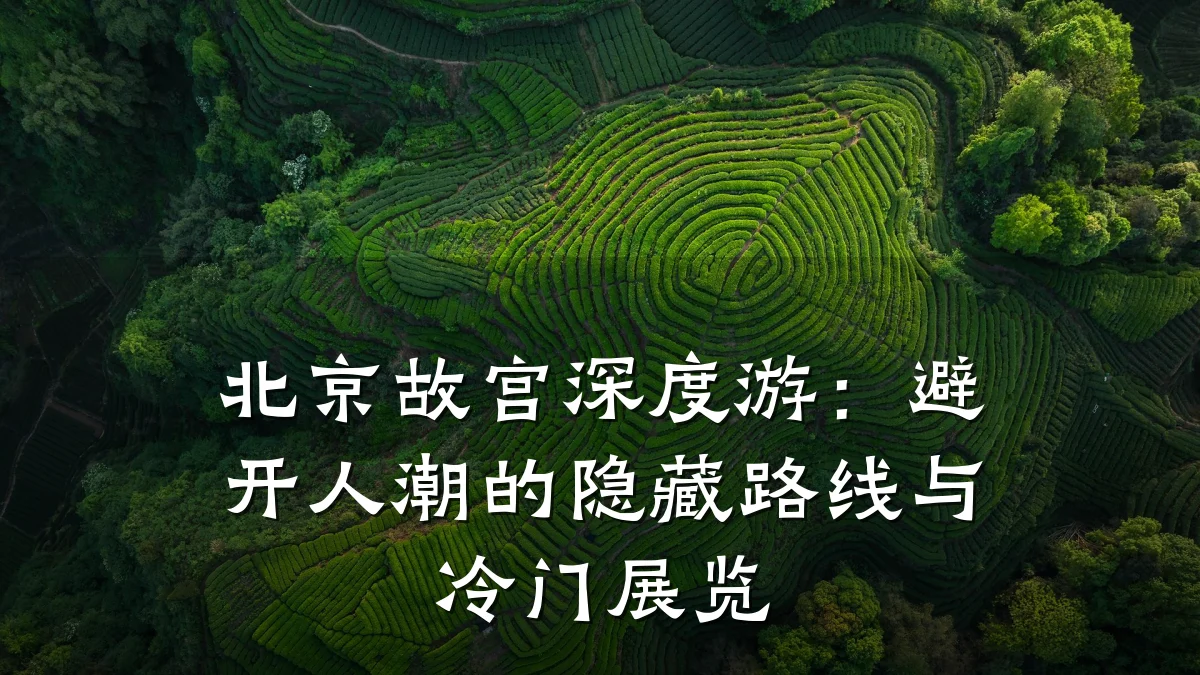 北京故宫深度游：避开人潮的隐藏路线与冷门展览