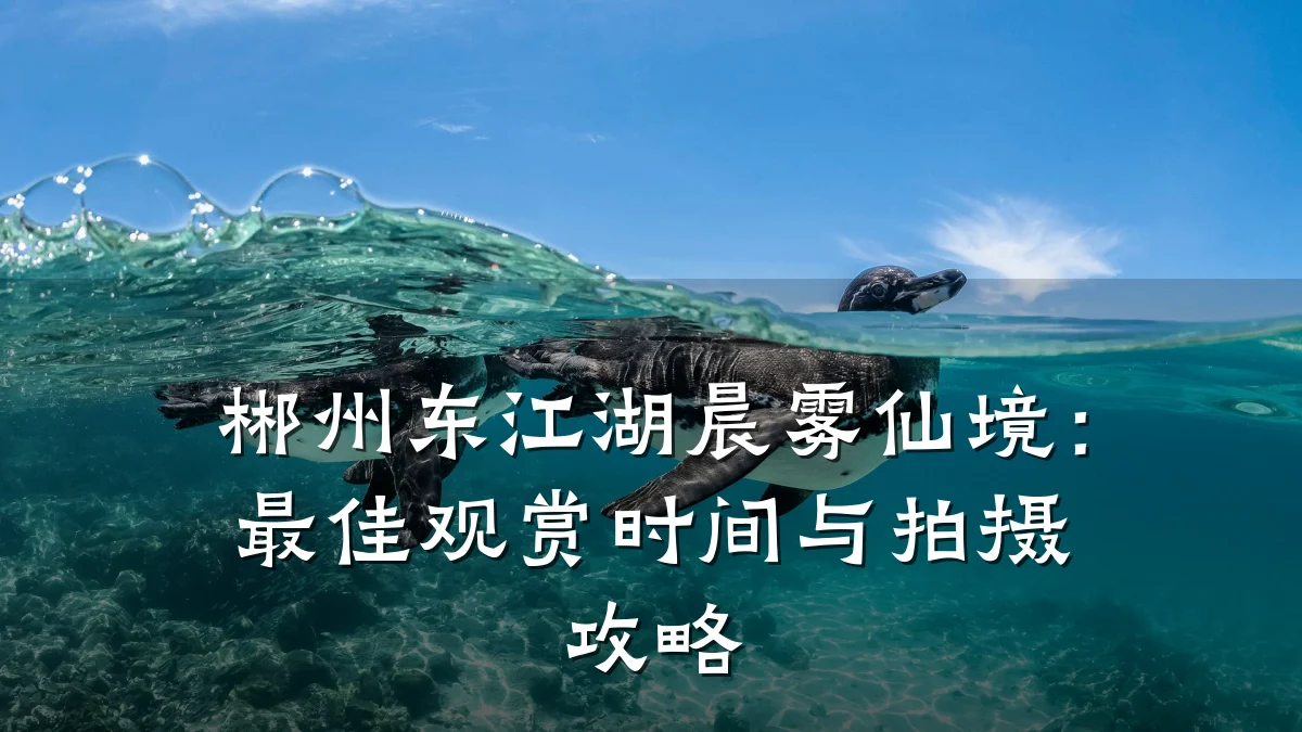 郴州东江湖晨雾仙境:最佳观赏时间与拍摄攻略