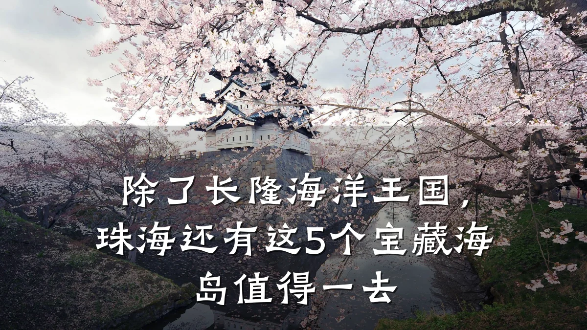 除了长隆海洋王国,珠海还有这5个宝藏海岛值得一去
