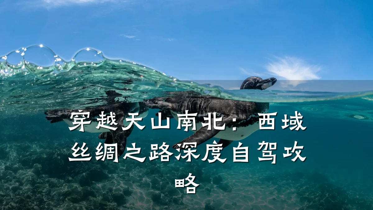 穿越天山南北:西域丝绸之路深度自驾攻略