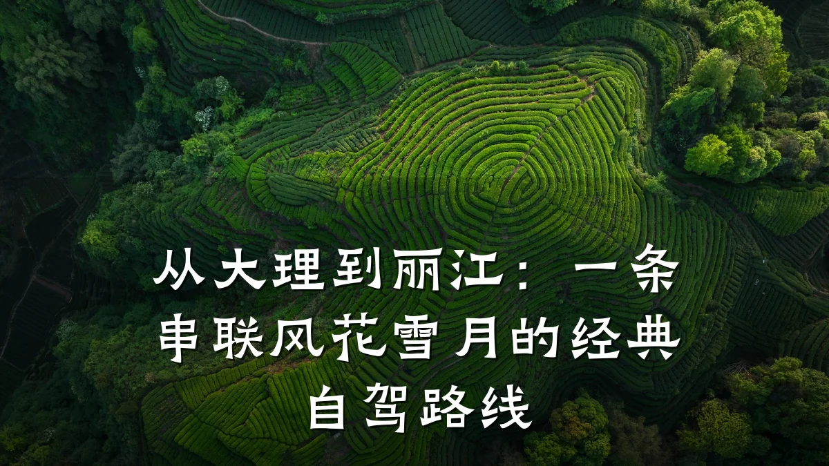 从大理到丽江:一条串联风花雪月的经典自驾路线