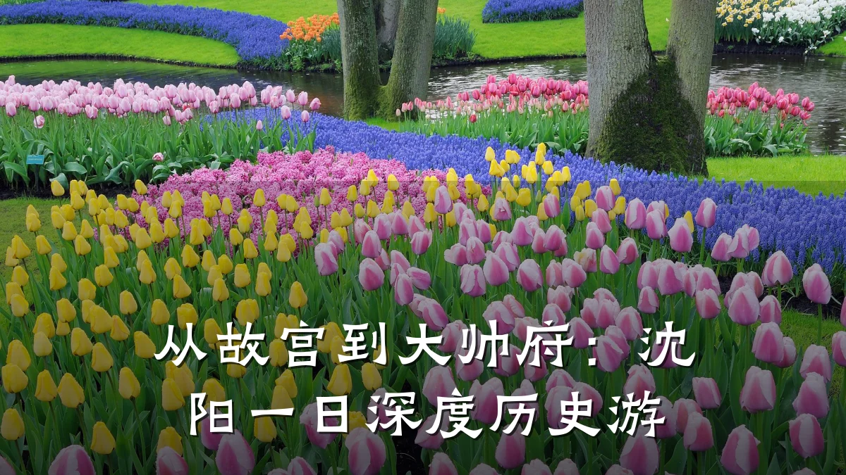 从故宫到大帅府:沈阳一日深度历史游