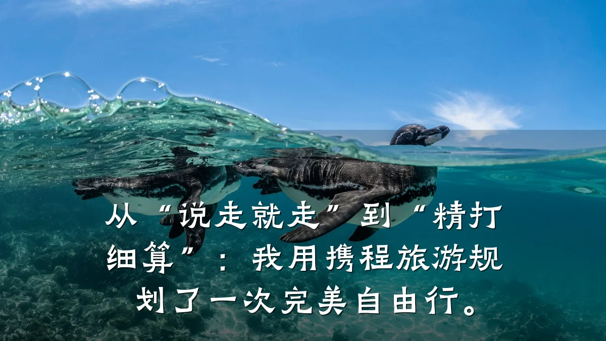 从“说走就走”到“精打细算”:我用携程旅游规划了一次完美自由行。