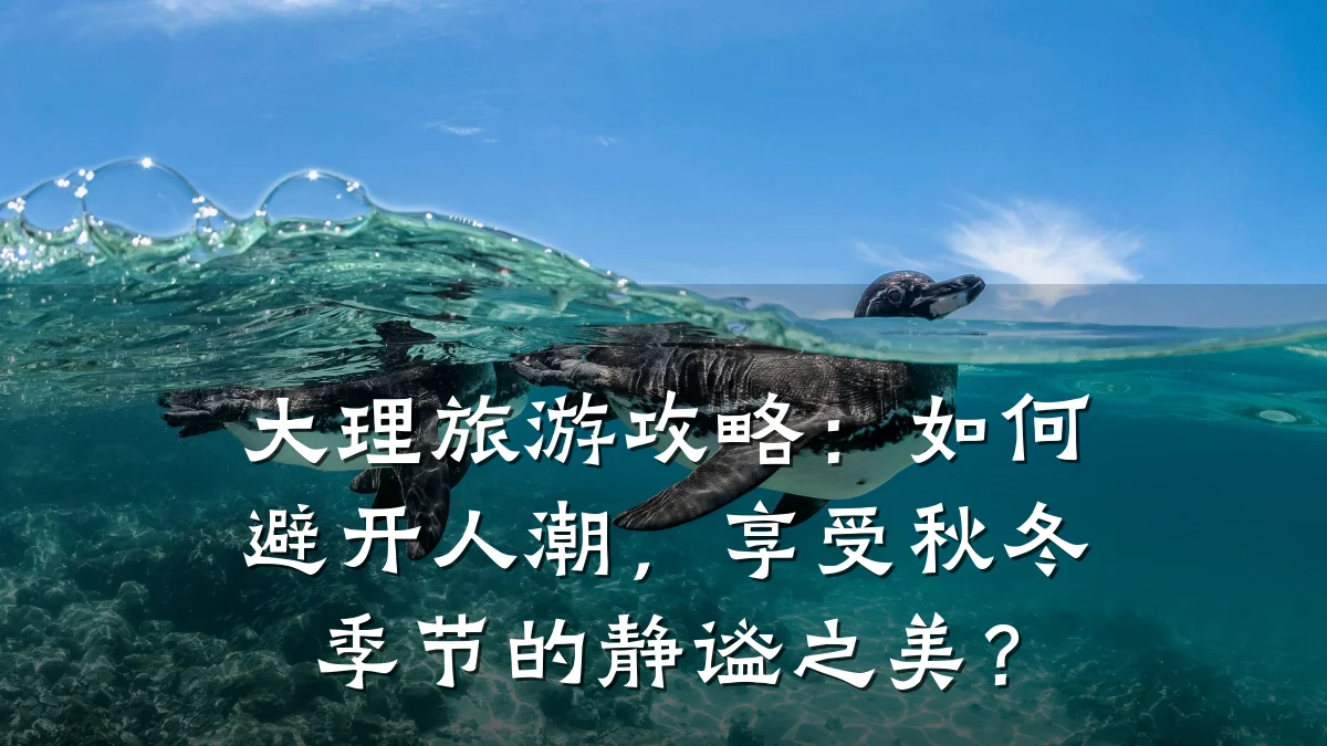 大理旅游攻略:如何避开人潮,享受秋冬季节的静谧之美?