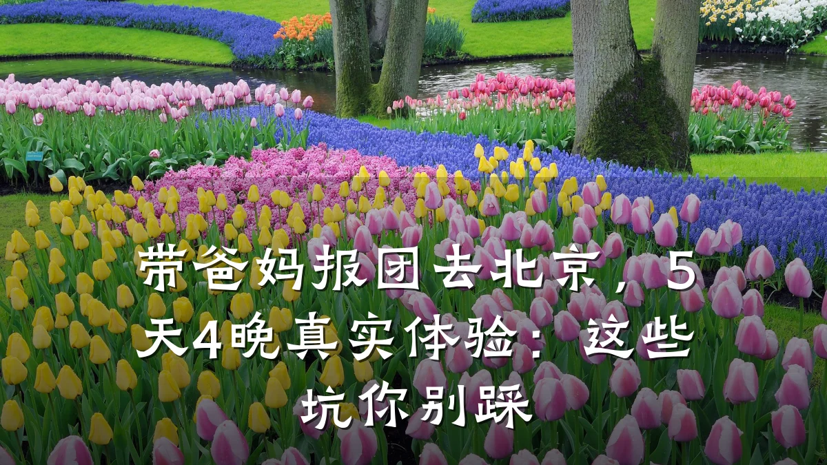 带爸妈报团去北京,5天4晚真实体验:这些坑你别踩