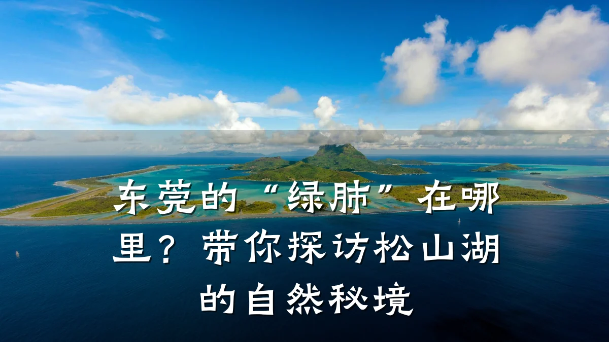 东莞的“绿肺”在哪里?带你探访松山湖的自然秘境