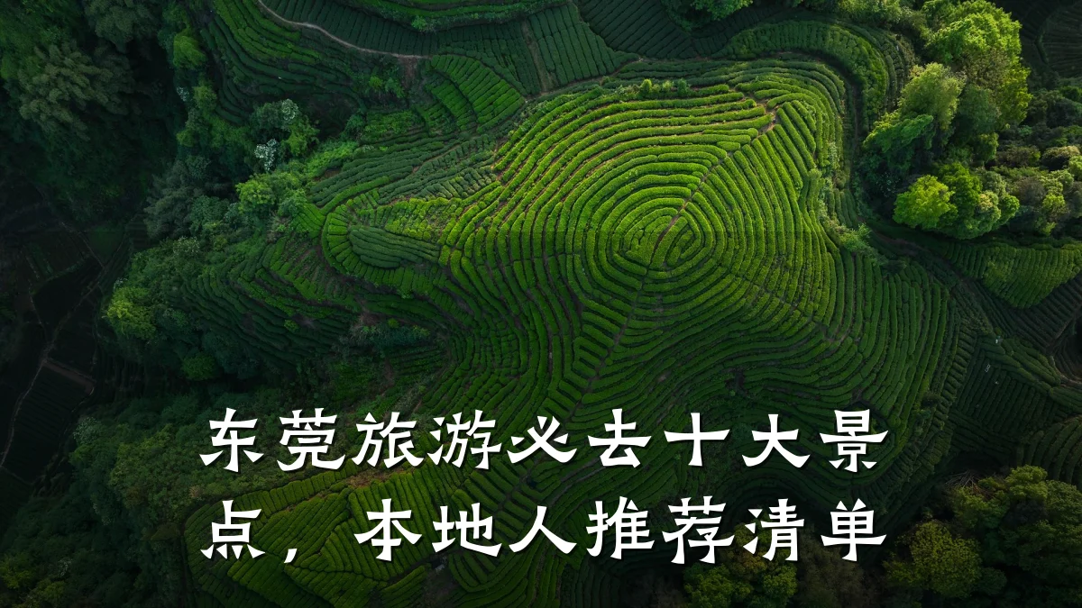 东莞旅游必去十大景点，本地人推荐清单