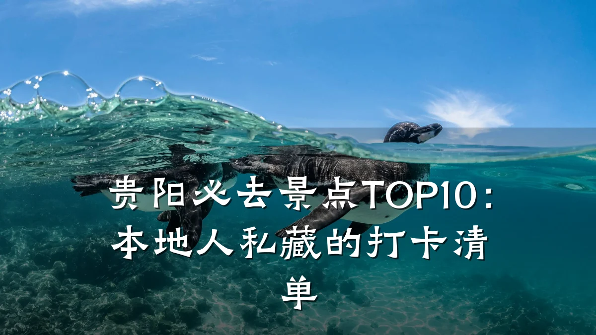 贵阳必去景点TOP10:本地人私藏的打卡清单