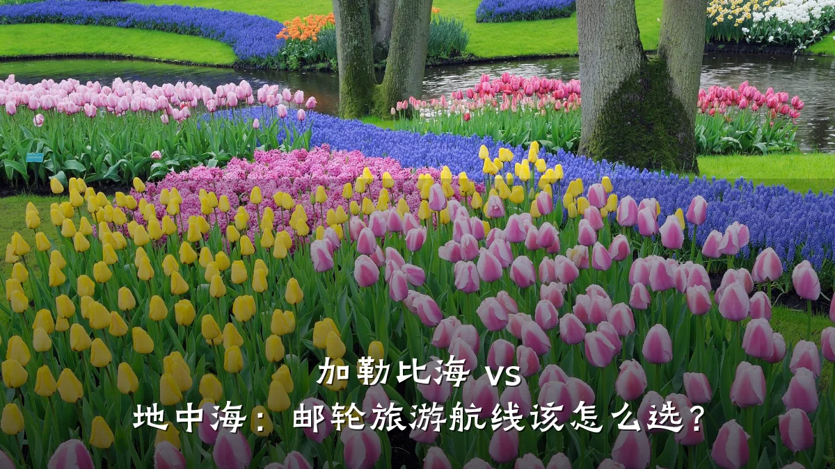 加勒比海 vs 地中海:邮轮旅游航线该怎么选?