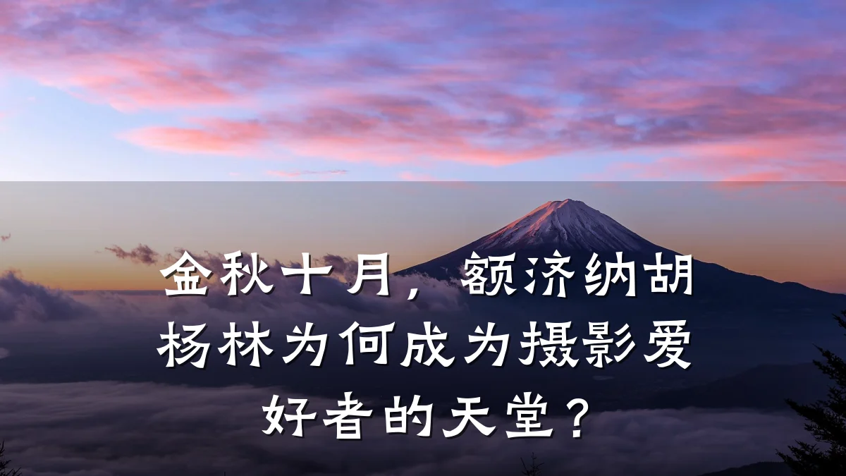 金秋十月，额济纳胡杨林为何成为摄影爱好者的天堂？