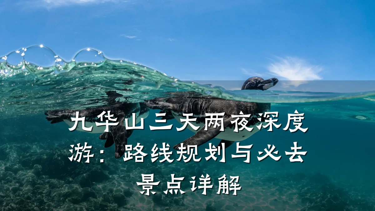 九华山三天两夜深度游:路线规划与必去景点详解