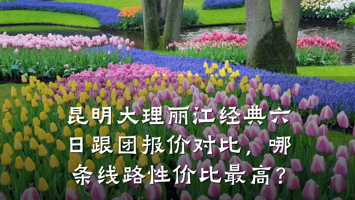 昆明大理丽江经典六日跟团报价对比，哪条线路性价比最高？