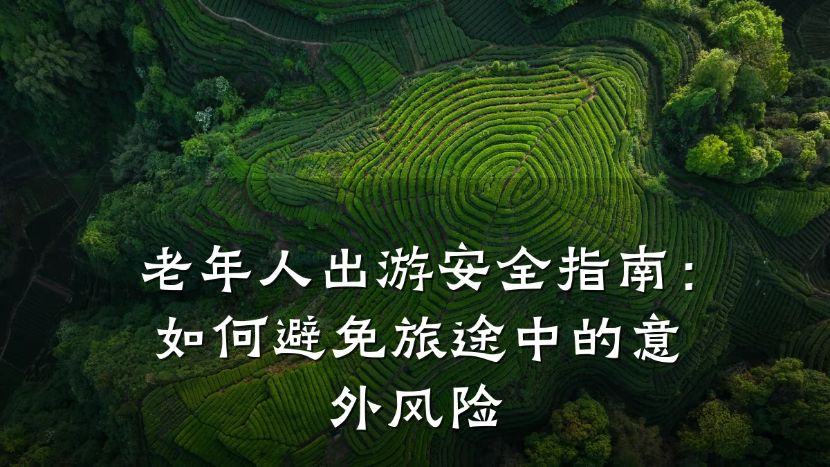 老年人出游安全指南:如何避免旅途中的意外风险