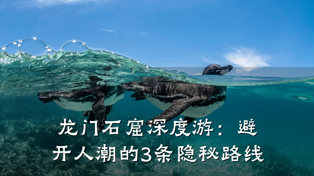 龙门石窟深度游：避开人潮的3条隐秘路线