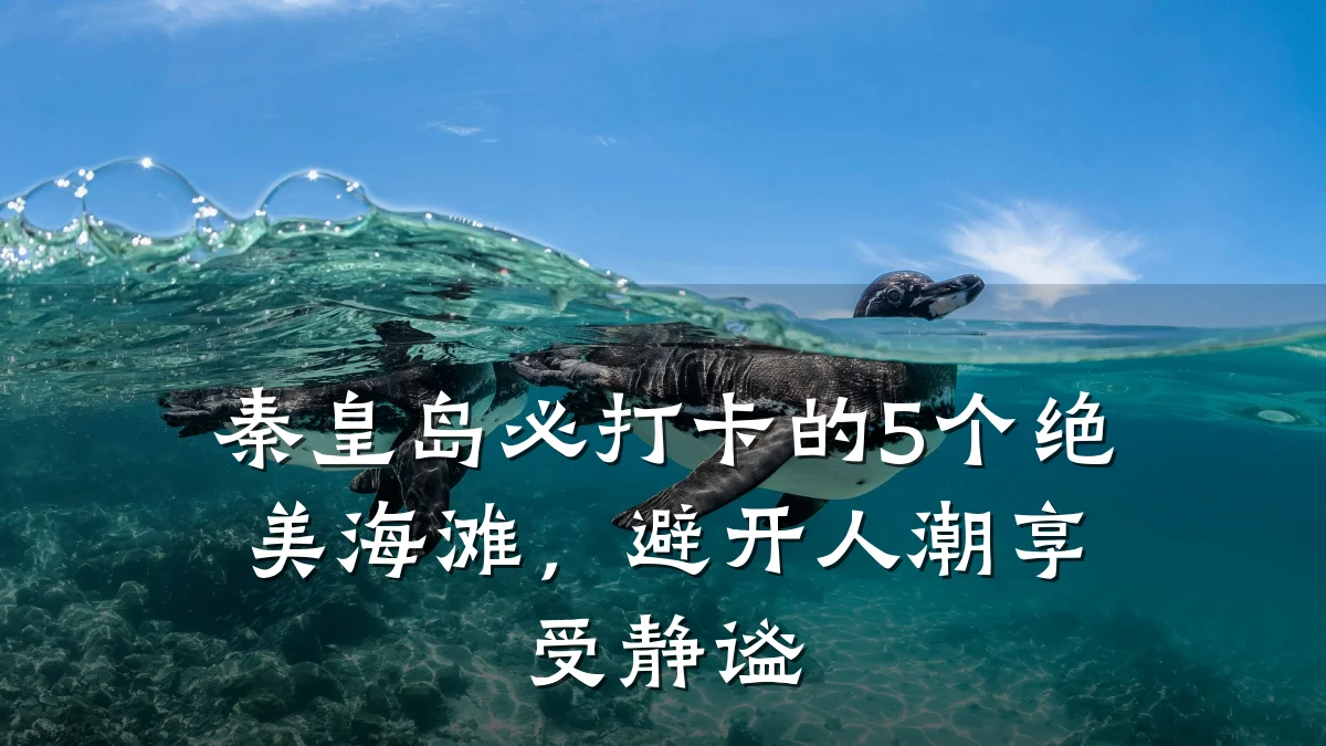 秦皇岛必打卡的5个绝美海滩，避开人潮享受静谧