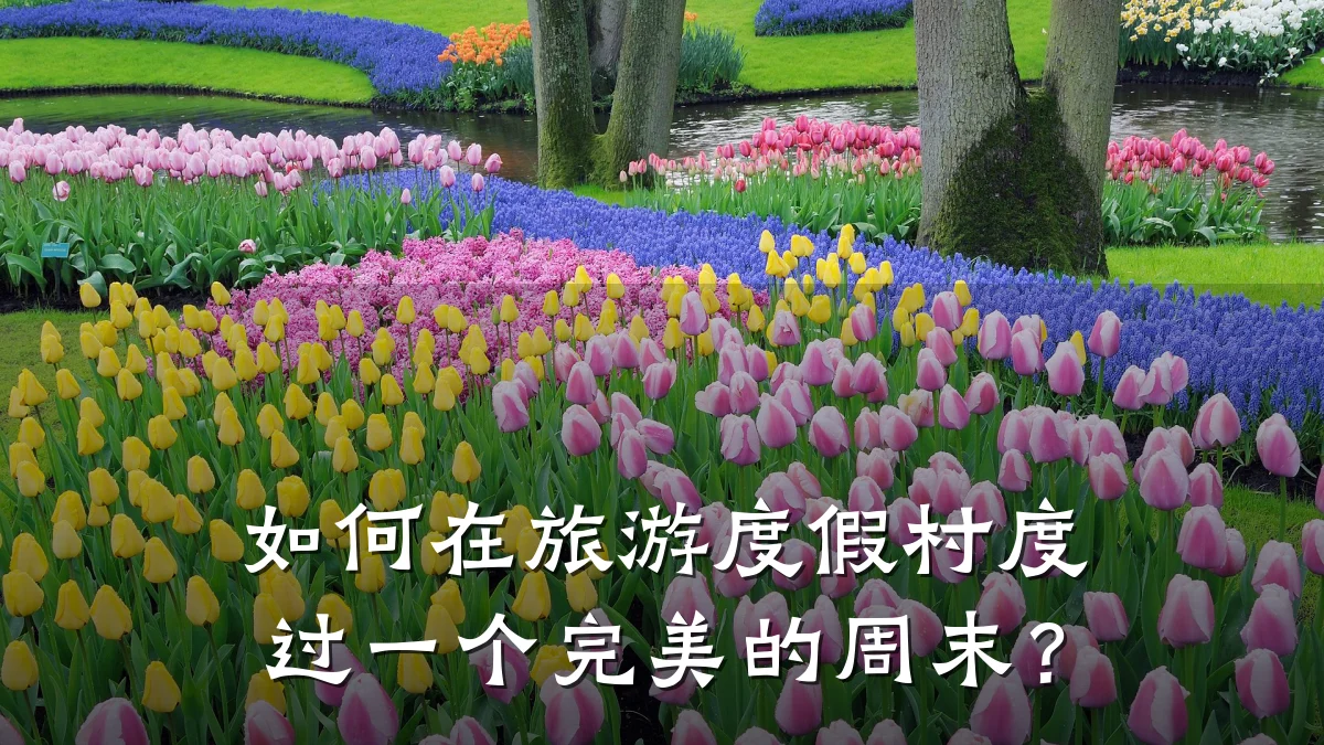 如何在旅游度假村度过一个完美的周末?