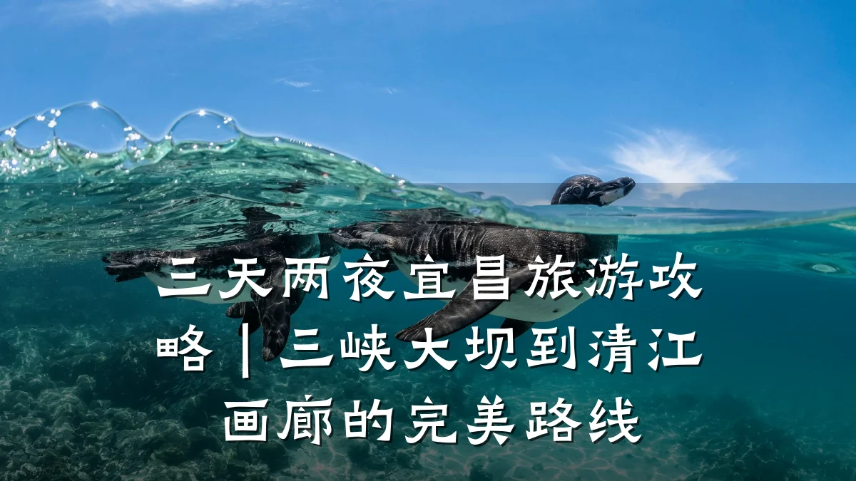 三天两夜宜昌旅游攻略|三峡大坝到清江画廊的完美路线