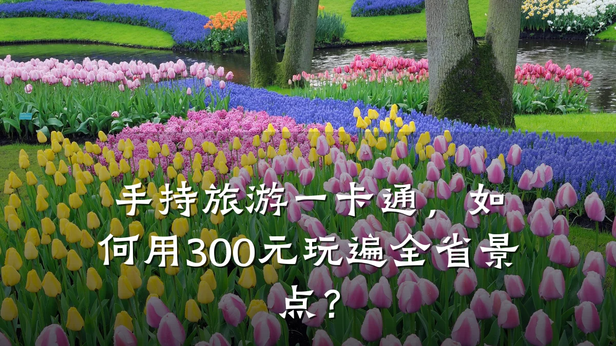 手持旅游一卡通,如何用300元玩遍全省景点?