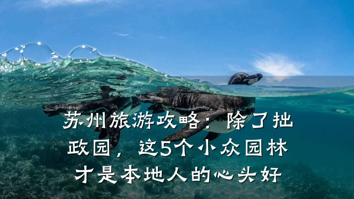 苏州旅游攻略:除了拙政园,这5个小众园林才是本地人的心头好