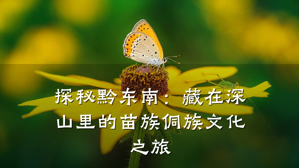 探秘黔东南：藏在深山里的苗族侗族文化之旅