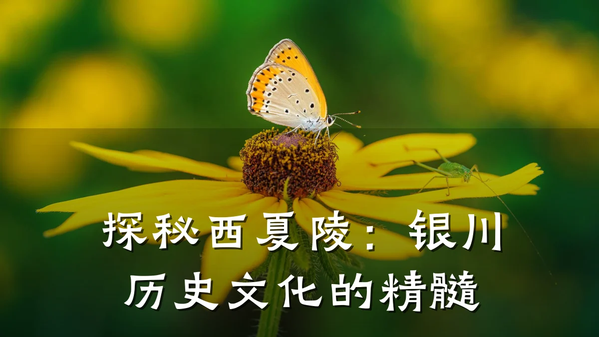 探秘西夏陵:银川历史文化的精髓