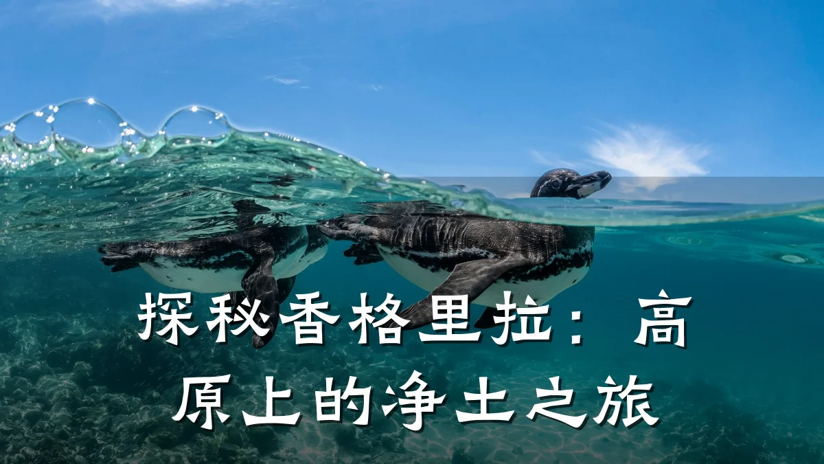 探秘香格里拉:高原上的净土之旅