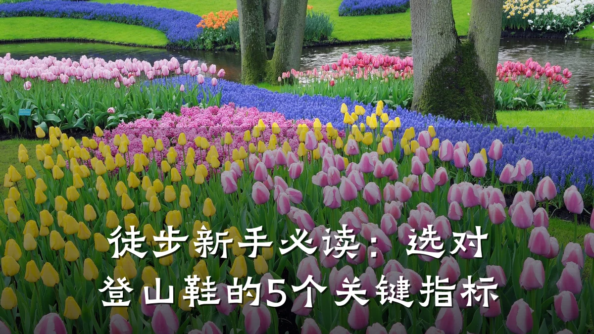 徒步新手必读:选对登山鞋的5个关键指标