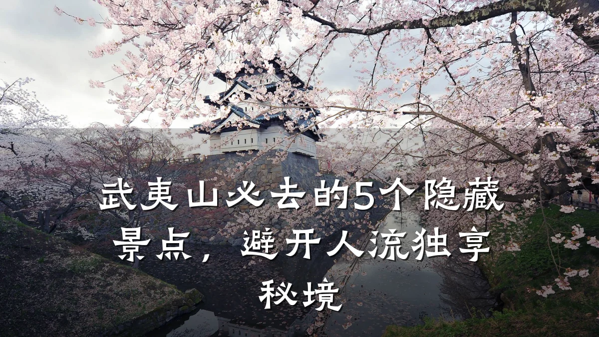 武夷山必去的5个隐藏景点,避开人流独享秘境