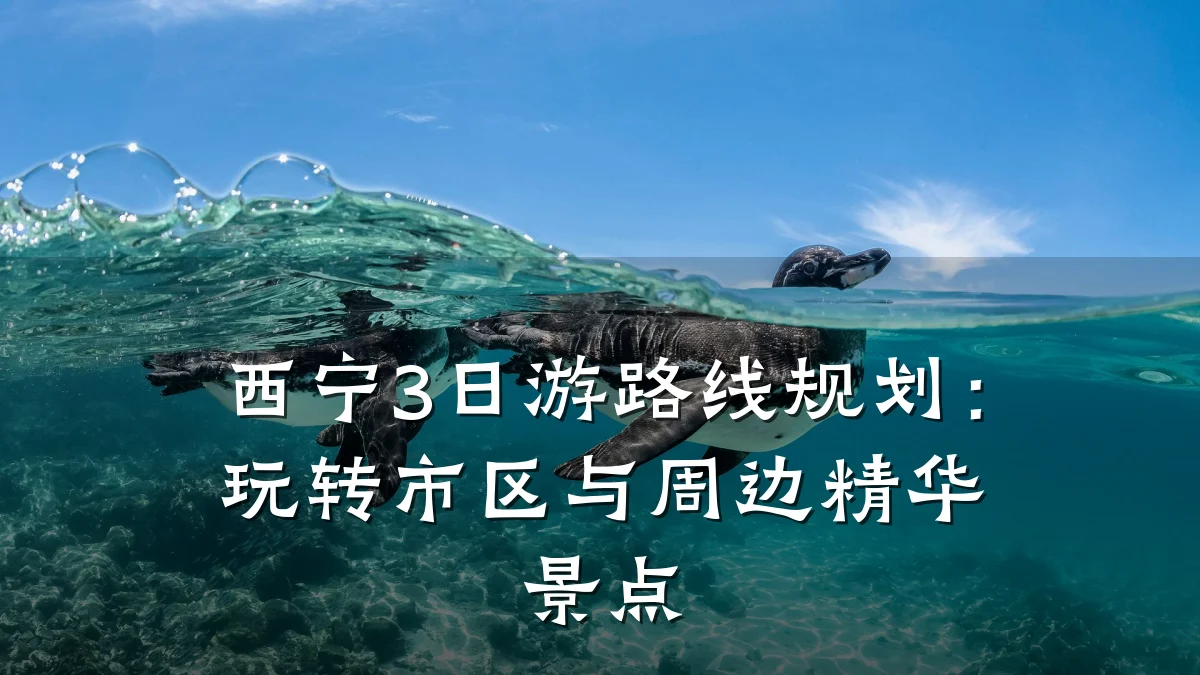 西宁3日游路线规划:玩转市区与周边精华景点