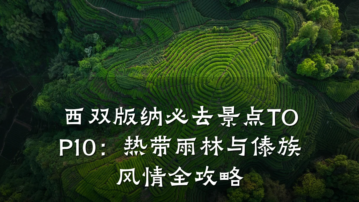 西双版纳必去景点TOP10:热带雨林与傣族风情全攻略