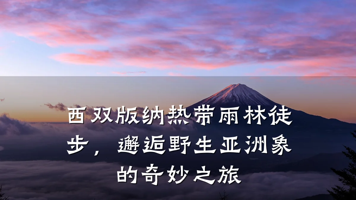 西双版纳热带雨林徒步，邂逅野生亚洲象的奇妙之旅