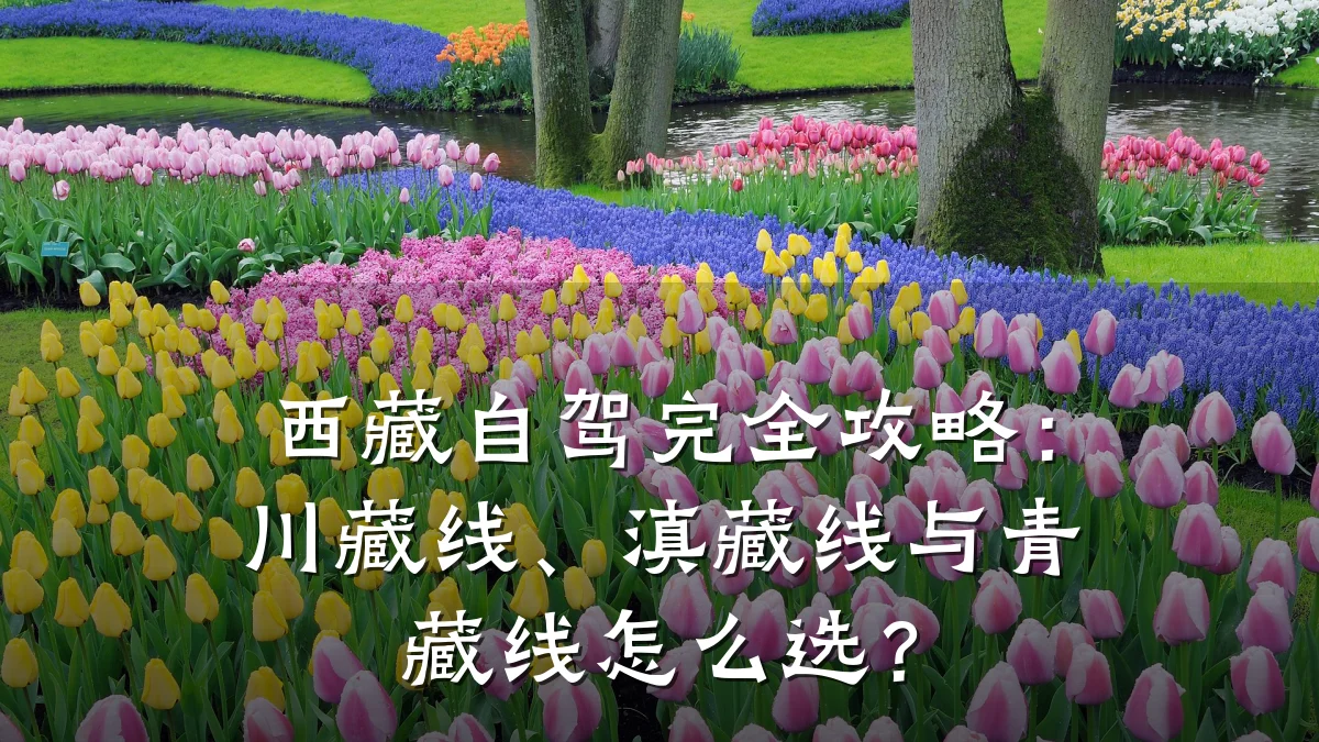 西藏自驾完全攻略:川藏线、滇藏线与青藏线怎么选?