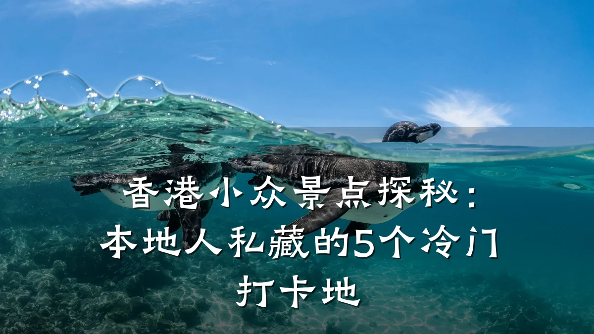 香港小众景点探秘:本地人私藏的5个冷门打卡地