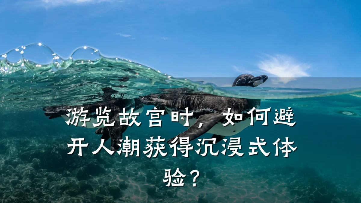 游览故宫时，如何避开人潮获得沉浸式体验？