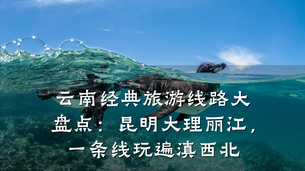 云南经典旅游线路大盘点:昆明大理丽江,一条线玩遍滇西北