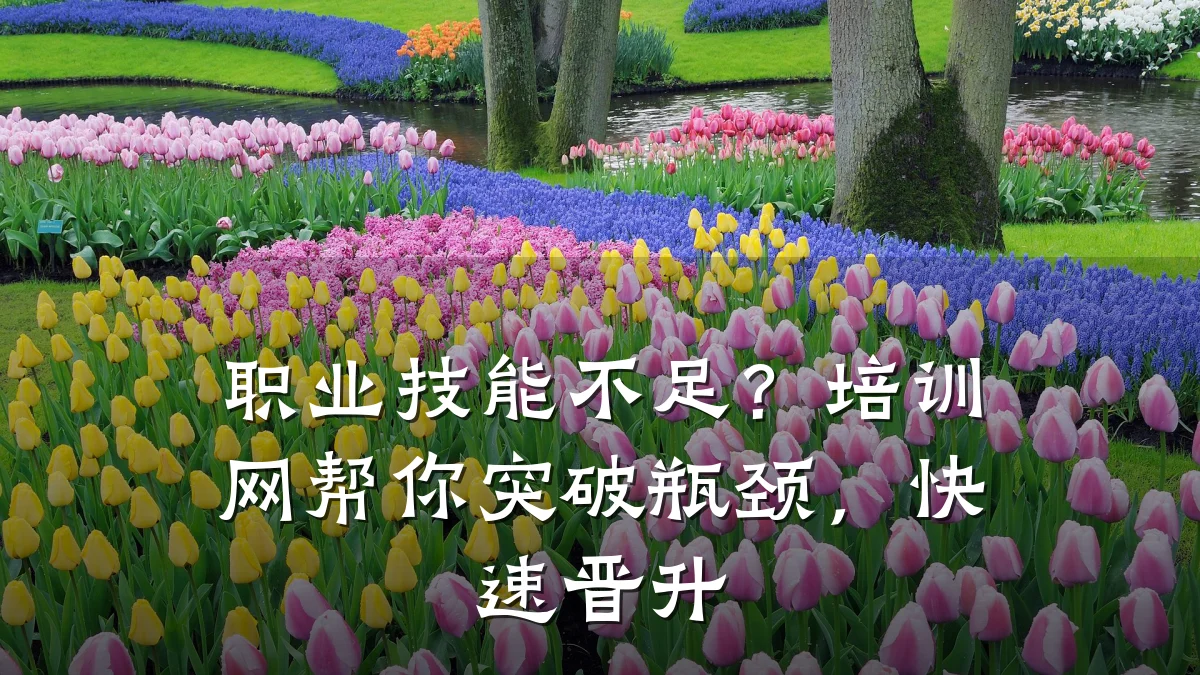 职业技能不足？培训网帮你突破瓶颈，快速晋升