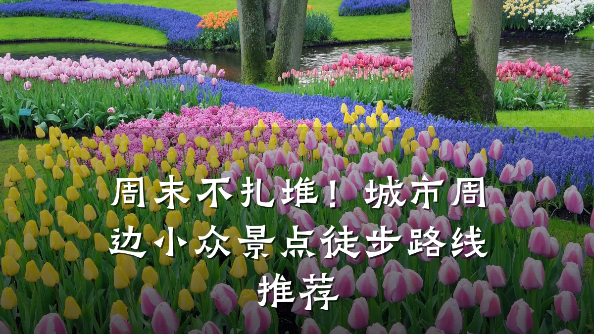 周末不扎堆!城市周边小众景点徒步路线推荐