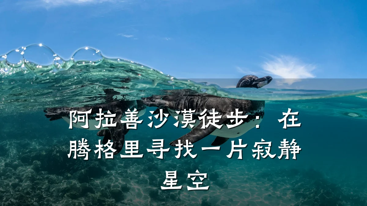 阿拉善沙漠徒步:在腾格里寻找一片寂静星空