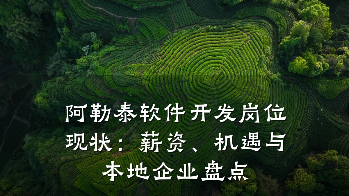 阿勒泰软件开发岗位现状:薪资、机遇与本地企业盘点