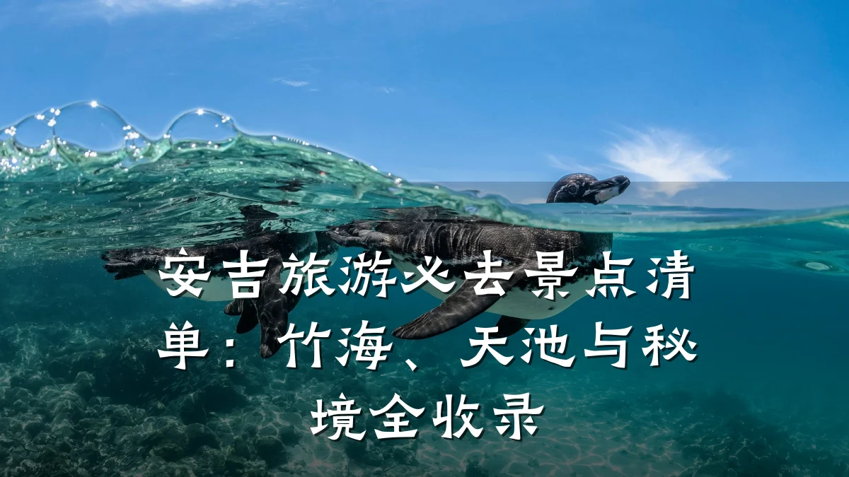 安吉旅游必去景点清单:竹海、天池与秘境全收录