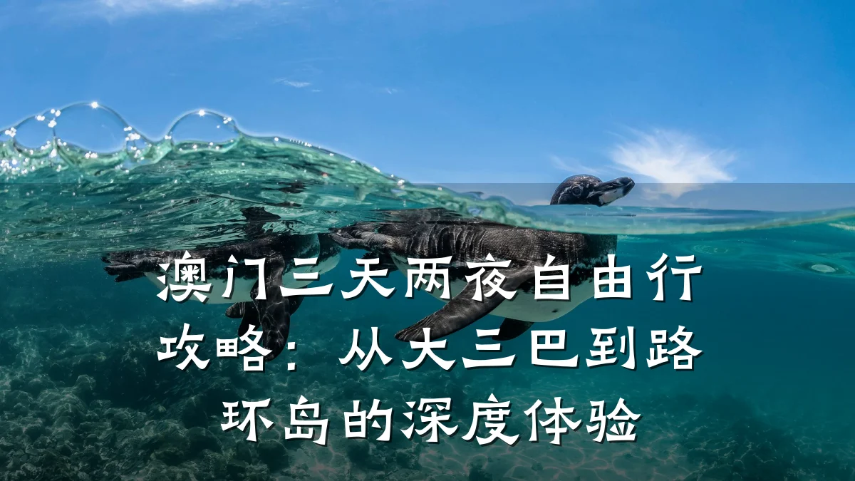 澳门三天两夜自由行攻略：从大三巴到路环岛的深度体验