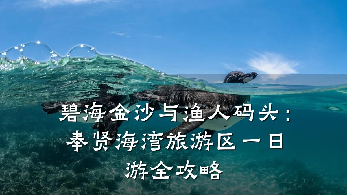 碧海金沙与渔人码头：奉贤海湾旅游区一日游全攻略
