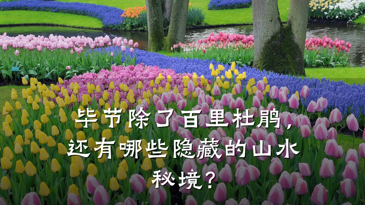 毕节除了百里杜鹃,还有哪些隐藏的山水秘境?
