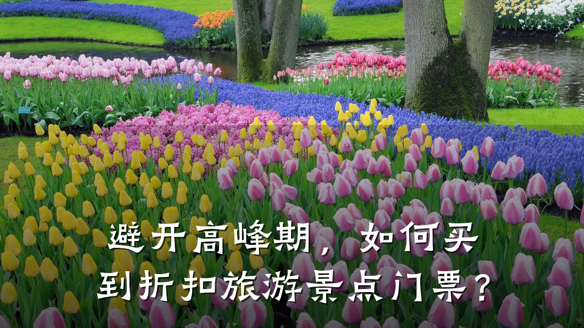 避开高峰期，如何买到折扣旅游景点门票？
