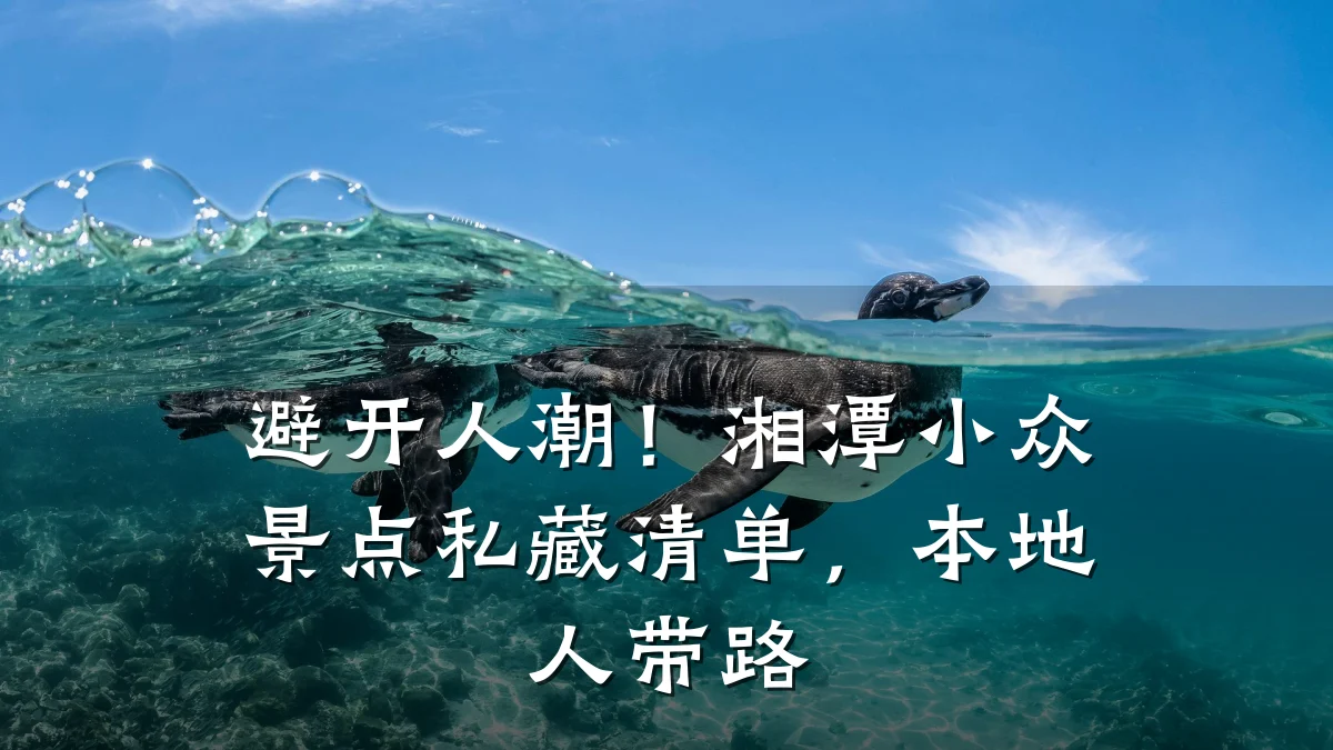 避开人潮!湘潭小众景点私藏清单,本地人带路