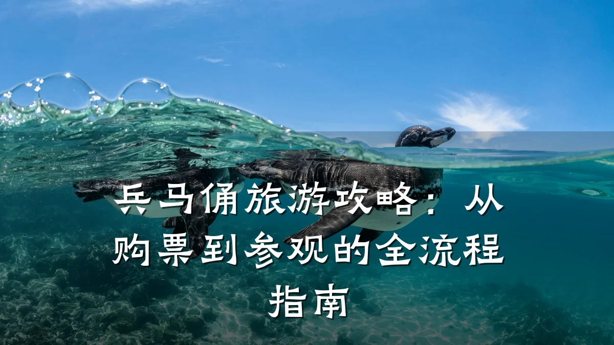 兵马俑旅游攻略：从购票到参观的全流程指南