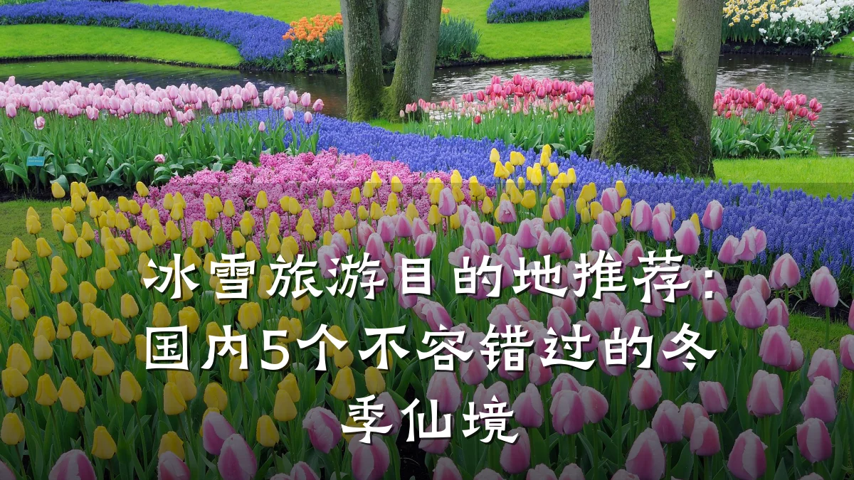冰雪旅游目的地推荐:国内5个不容错过的冬季仙境